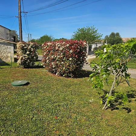 La Breuviere Maison Charentaise Avec Piscine * Mosnac (Charente-Maritime)